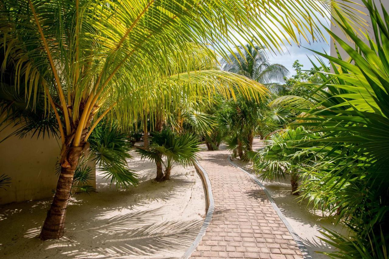 87972 Romantic Condo, Best Retreat For A Couple, 1 Block From The Ocean Progreso  Exterior photo